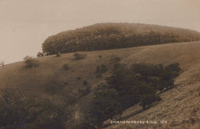 Sussex Postcard - Chanctonbury Ring   SW19731  