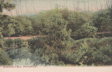 Load image into Gallery viewer, Vintage postcard of a forest scene with a pond and trees.

