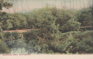 Vintage postcard of a forest scene with a pond and trees.