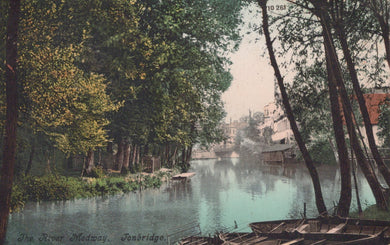 River scene with trees and buildings in the background