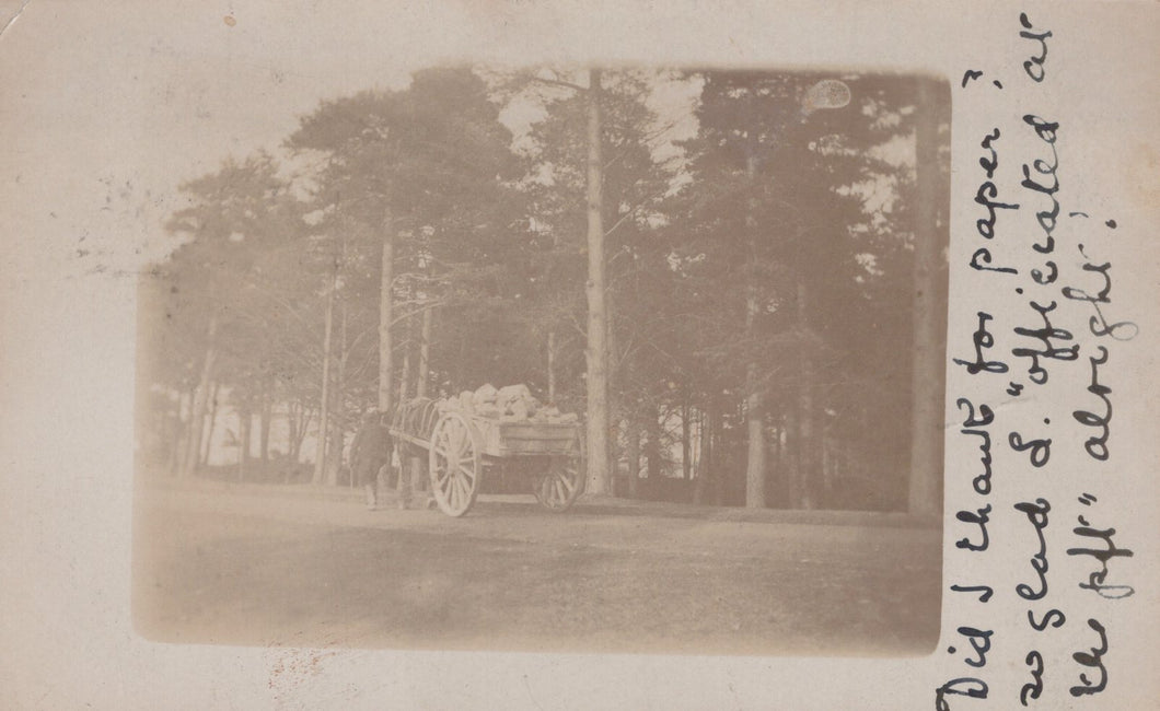 Vintage photograph of a cart in a forest with handwritten text on the right side.