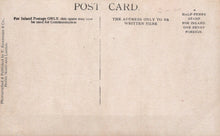 Load image into Gallery viewer, Back of a vintage postcard with printed text and a plain center
