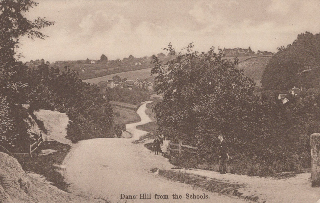 Vintage black and white photograph of a rural landscape with a path and trees.