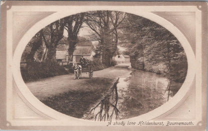 Dorset Postcard - A Shady Lane Holdenhurst  XT189