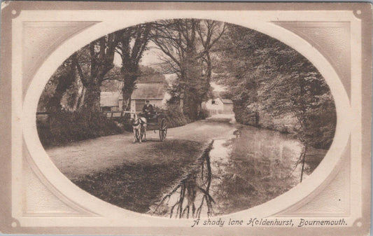 Dorset Postcard - A Shady Lane Holdenhurst  XT189