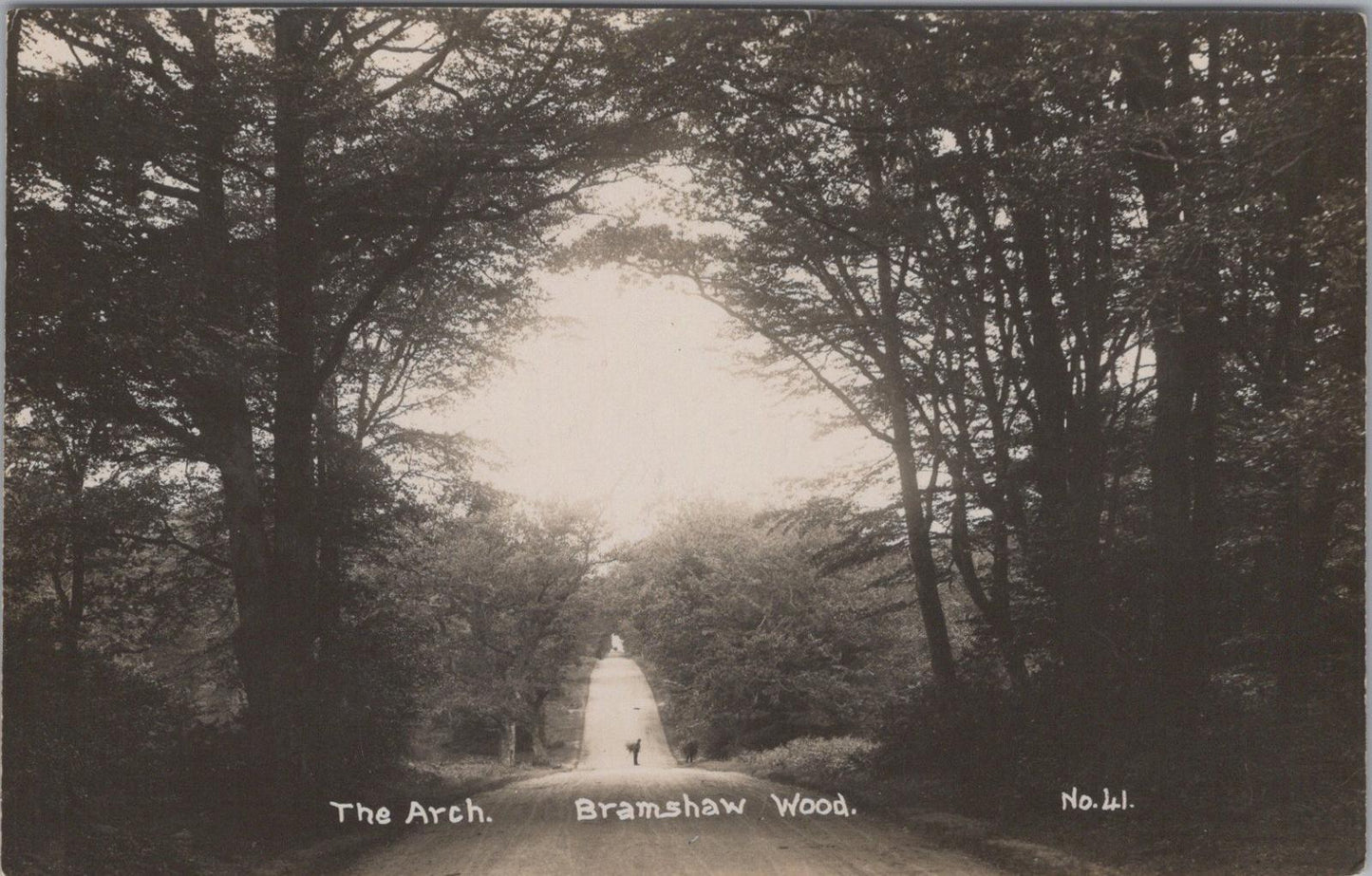 Hampshire Postcard - The Arch, Bramshaw Wood  XT208