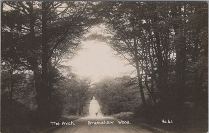 Hampshire Postcard - The Arch, Bramshaw Wood  XT208