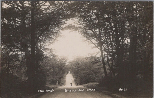 Hampshire Postcard - The Arch, Bramshaw Wood  XT208