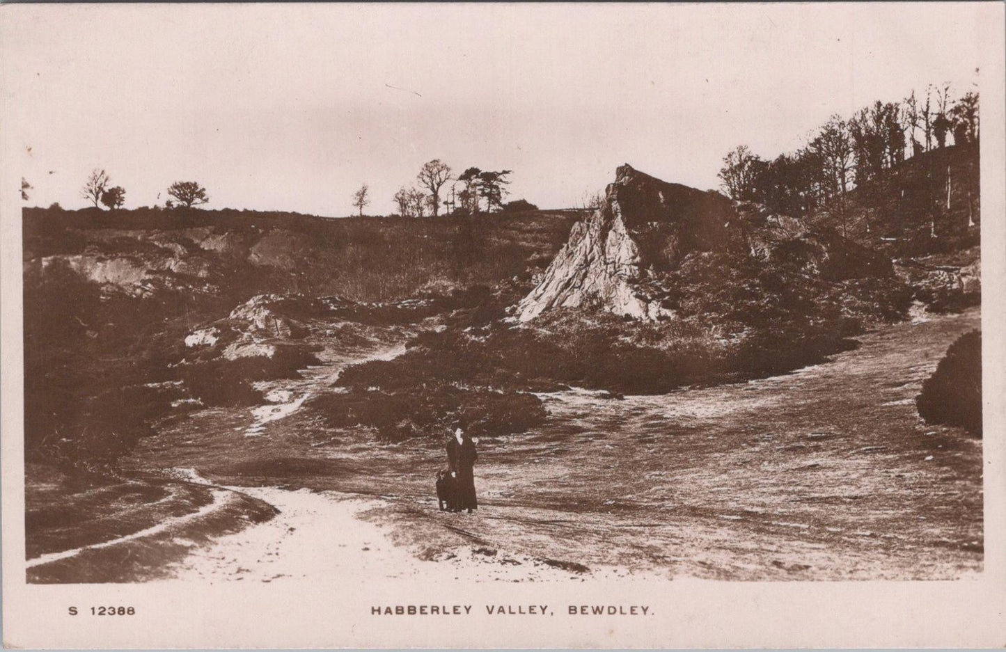 Worcestershire Postcard - Habberley Valley, Bewdley    XT324