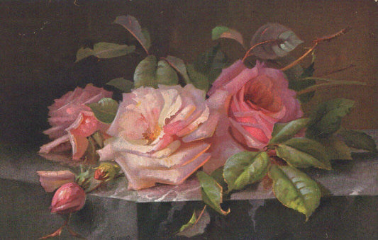 Floral Postcard: Still Life Pink and Cream Roses on Marble Plinth  XT2165
