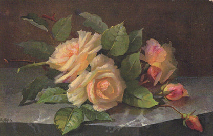 Floral Postcard: Still Life Yellow and Pink Roses on Marble Plinth  XT2167