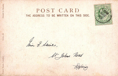 Floral Postcard: Still Life Yellow and Pink Roses on Marble Plinth  XT2167