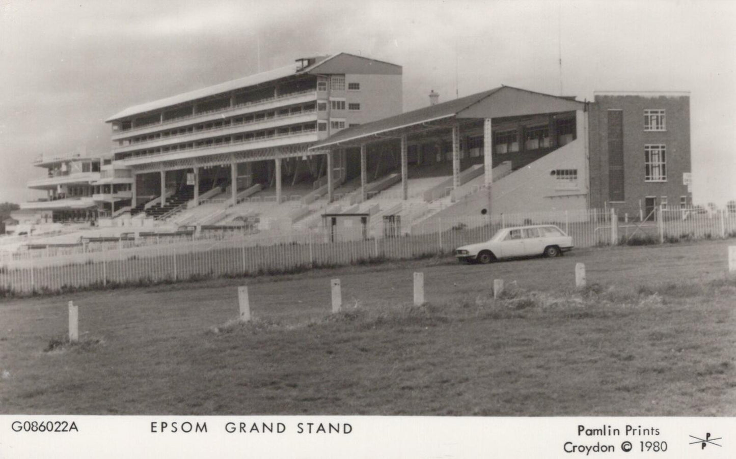 Surrey Postcard: Epsom Grand Stand Racecourse, Horse Racing  XT2176