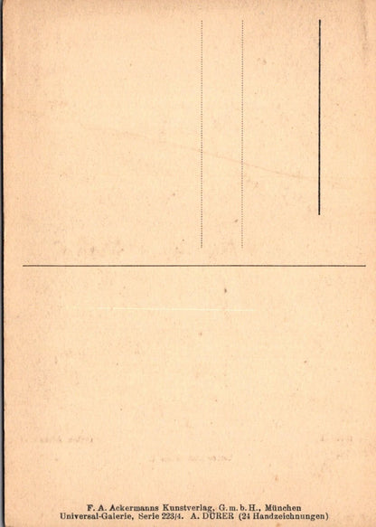 Art Postcard - A.Durer, Kaiser Maxmillian I - VT575
