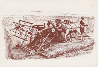 Agriculture Postcard - Victorian Farming, Bell's Improved Reaping Machine  VT577