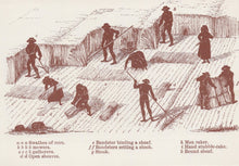 Load image into Gallery viewer, Agriculture Postcard - Victorian Farming, Mowing Corn With a Scythe VT578
