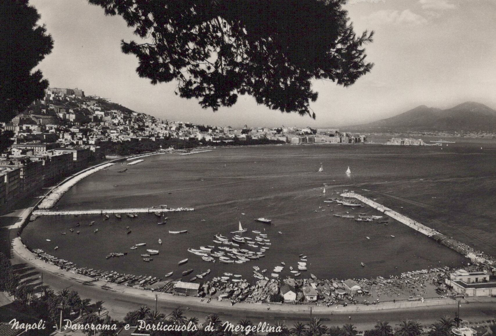 Italy Postcard - Napoli Panorama   VT586