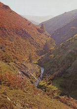 Load image into Gallery viewer, Shropshire Postcard - The Longmynd, Ashes Hollow  VT596
