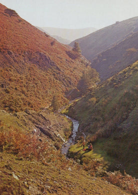 Shropshire Postcard - The Longmynd, Ashes Hollow  VT596