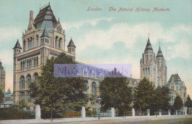 Vintage postcard of The Natural History Museum in London with colorful architectural details.