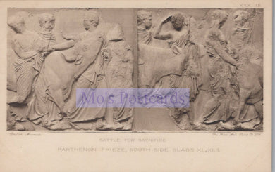 Relief sculpture of a procession with figures and animals, likely from the Parthenon frieze, on a postcard.