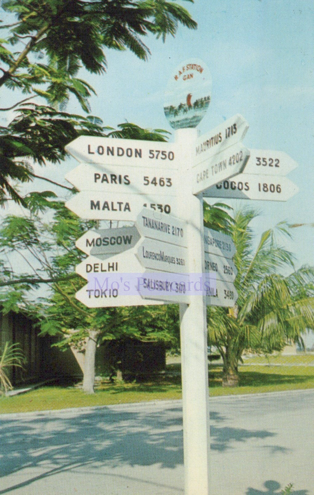 Directional signpost with distances to various cities in the background of a tropical setting.