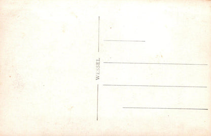 Brazil Postcard - Avenida do Mangue, Rio de Janeiro VT529