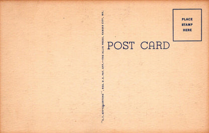 America Postcard - The Oaks Hotel in Excelsior Springs, Missouri  VT533