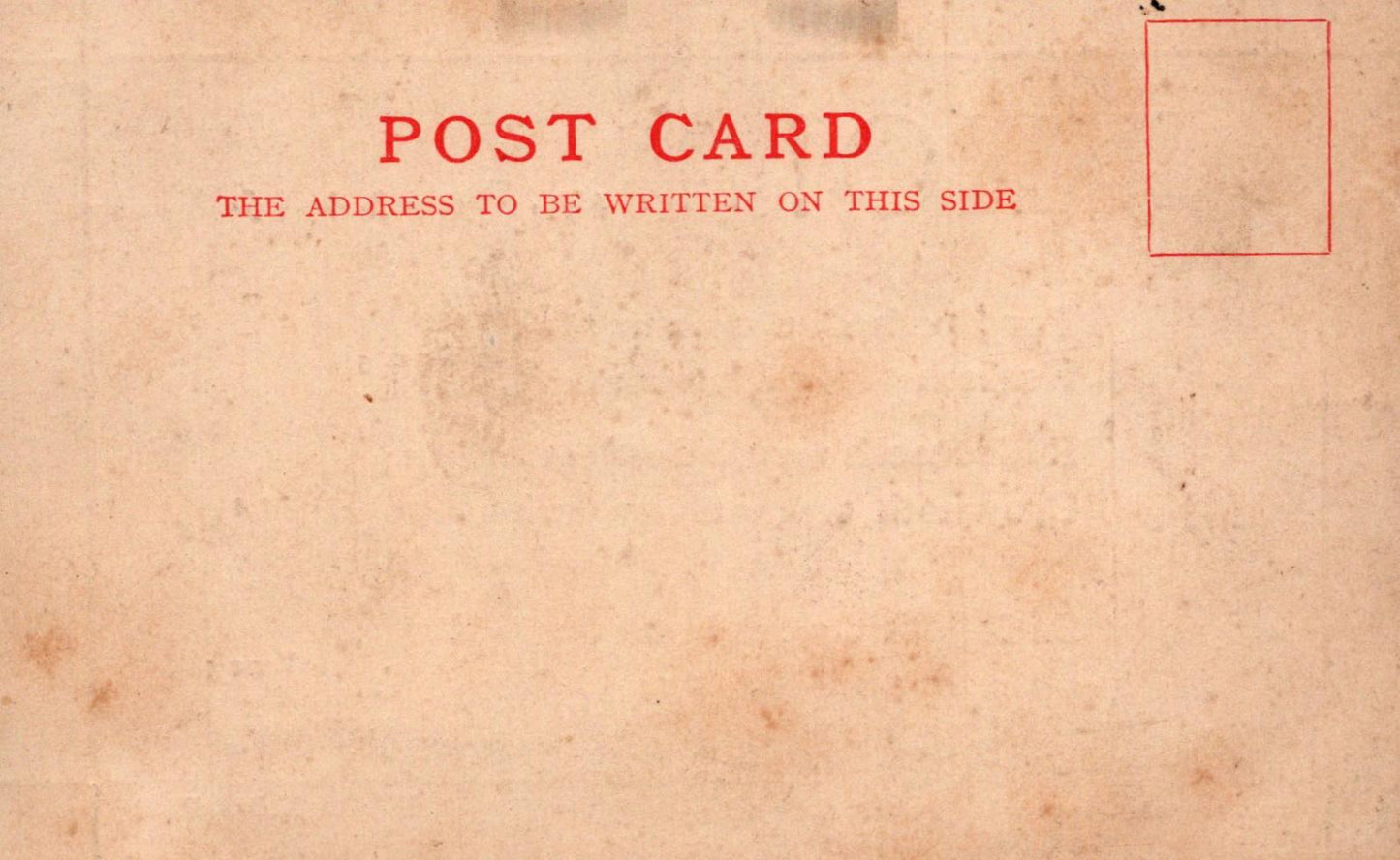 Religious Text Postcard - WHO!, Psalm 103 (CIII), verses 3, 4, and 5 - VT552
