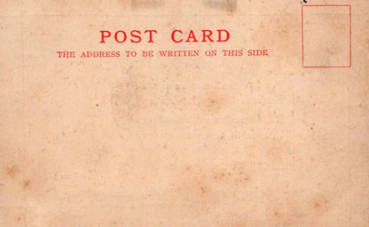 Religious Text Postcard - WHO!, Psalm 103 (CIII), verses 3, 4, and 5 - VT552