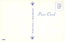 Load image into Gallery viewer, Back of a postcard with Scout logo and text on a light yellow background
