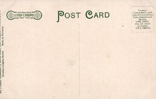 Load image into Gallery viewer, Back of a vintage postcard with &#39;Litho-Chrome&#39; branding and text.
