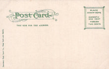 Load image into Gallery viewer, Vintage postcard with green text and design on a beige background
