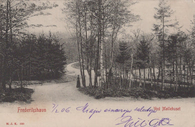 Vintage black and white photograph of a forest path with trees and a person walking.
