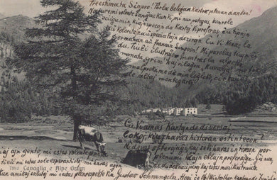 Vintage illustration with text overlay, featuring a landscape with trees and a building.