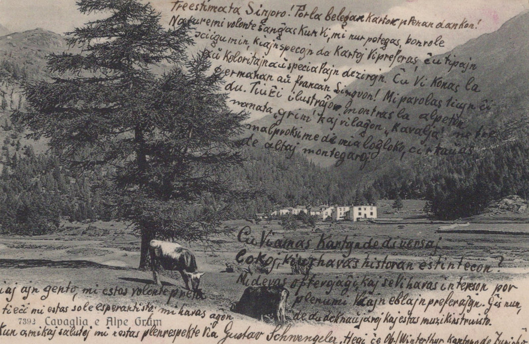 Vintage illustration with text overlay, featuring a landscape with trees and a building.