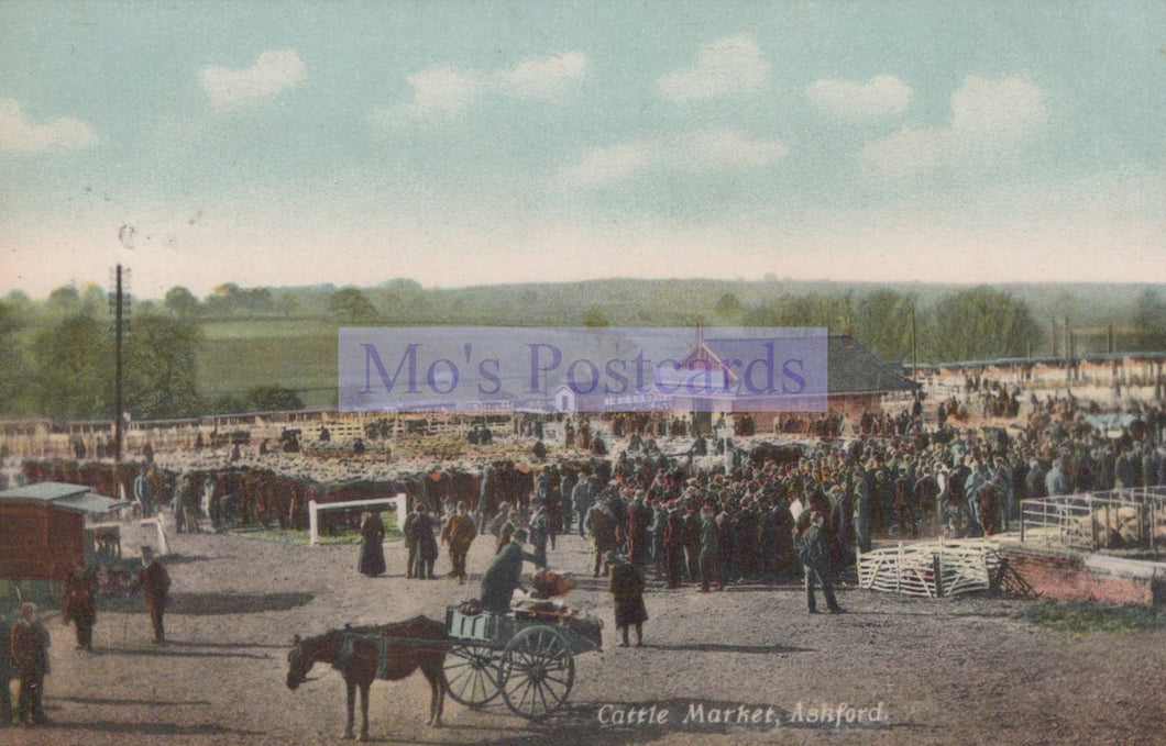 Vintage colorized postcard of a cattle market with people and animals, featuring 'Mo's Postcards' branding.