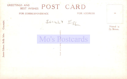 Vintage postcard with 'Mo's Postcards' branding and text on a light background