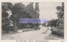 Load image into Gallery viewer, Vintage black and white photograph of a road with trees on either side, labeled &#39;Blasford Hill, Broomfield&#39;.
