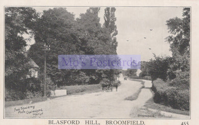 Vintage black and white photograph of a road with trees on either side, labeled 'Blasford Hill, Broomfield'.