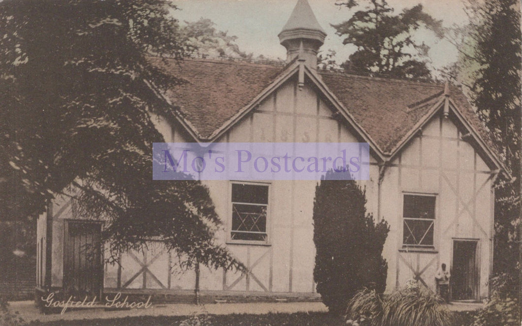 Vintage photograph of a school building with a steeple, surrounded by trees.