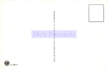 Load image into Gallery viewer, Back of a postcard with &#39;Mo&#39;s Postcards&#39; branding and address information.
