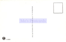 Load image into Gallery viewer, Back of a postcard with &#39;Mo&#39;s Postcards&#39; branding and address information.
