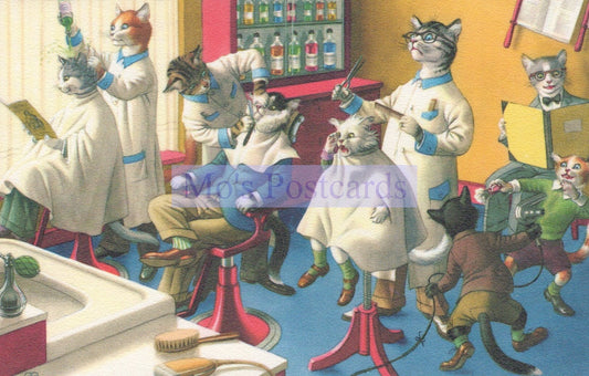 Illustration of cats in a barber shop with various grooming tools and products.