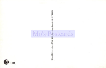 Back of a postcard with 'Mo's Postcards' branding and address information.