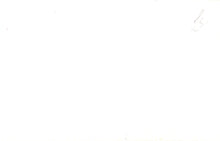 Load image into Gallery viewer, White background with a small black dot
