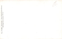 Load image into Gallery viewer, White card with text on a white background
