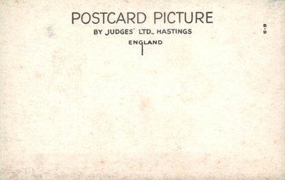 Oxfordshire Postcard - Henley-on-Thames and River Thames  SW19113