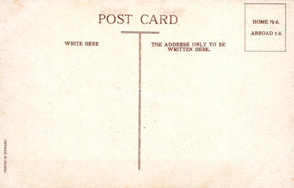 Greetings Postcard - A Joyful New Year To You  SW19118