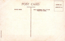 Load image into Gallery viewer, Greetings Postcard - A Joyful New Year To You  SW19118
